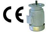 Sino-Aqua's Paddlewheel Aerator Motor image