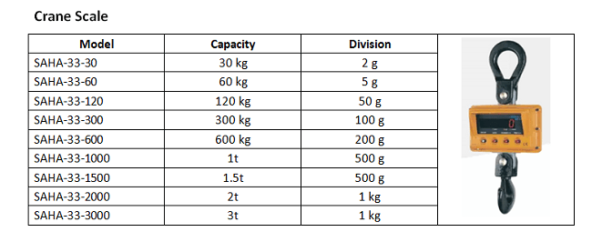 Crane Scale